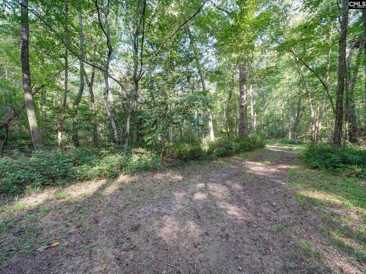 1239 John G Richards Road Photo 42