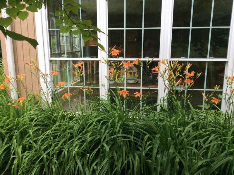 3732 Borland Road, Ray, OH 45672 Photo 16