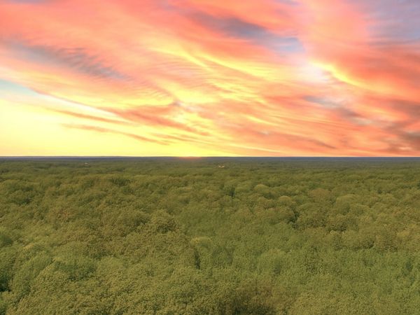 138 Vaughn Rd, Charlotte, TN 37036