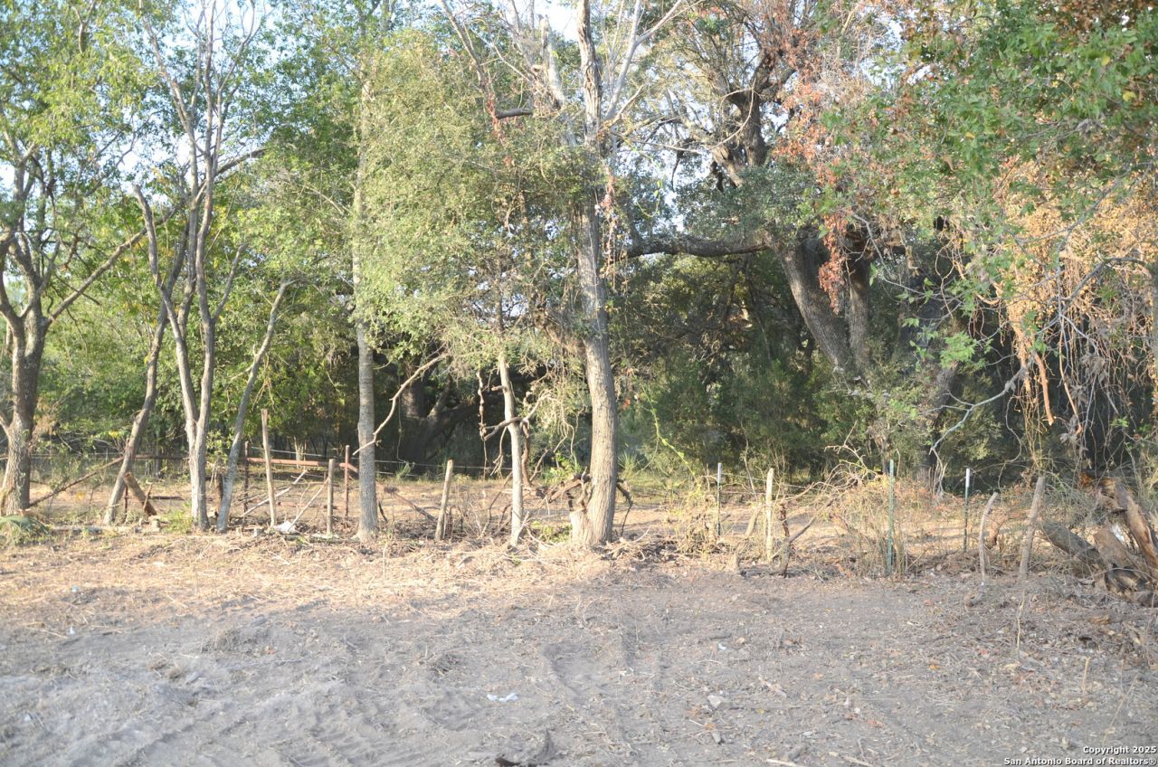 Tbd Highway 173, Devine, TX 78016 Main Photo