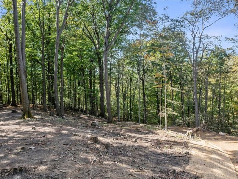 10899 Tibbetts Road, Kirtland, OH 44094 Photo 10