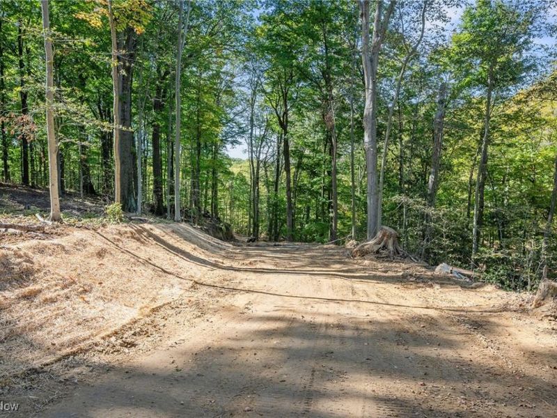 10899 Tibbetts Road, Kirtland, OH 44094 Photo 16