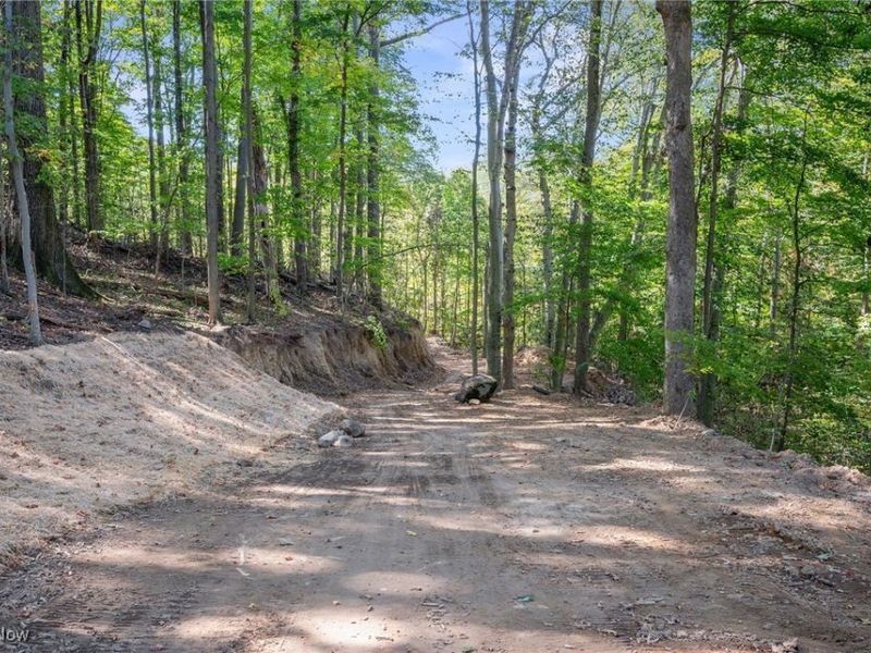 10899 Tibbetts Road, Kirtland, OH 44094 Photo 17