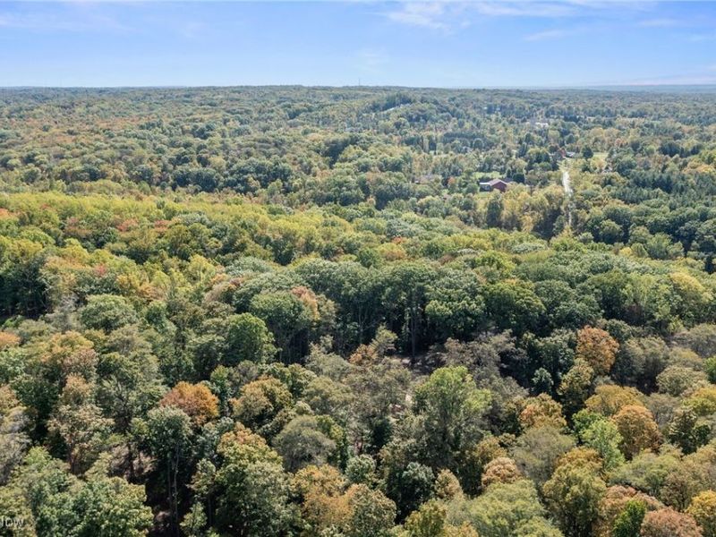 10899 Tibbetts Road, Kirtland, OH 44094 Photo 20