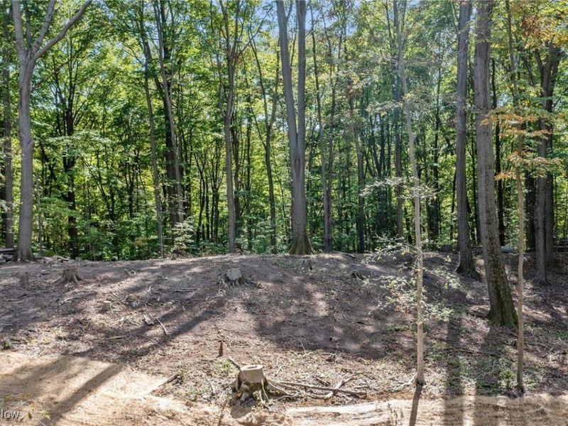 10899 Tibbetts Road, Kirtland, OH 44094 Photo 8