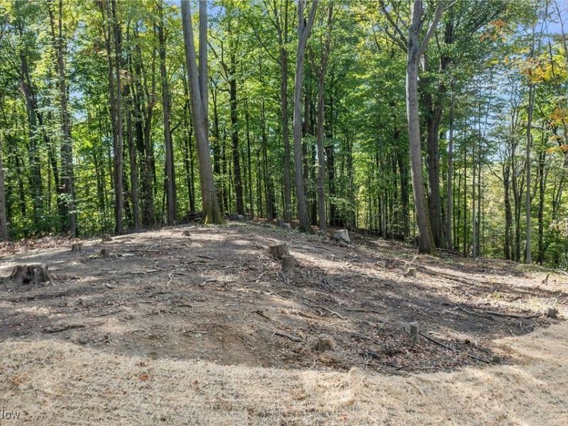 10899 Tibbetts Road, Kirtland, OH 44094 Photo 9