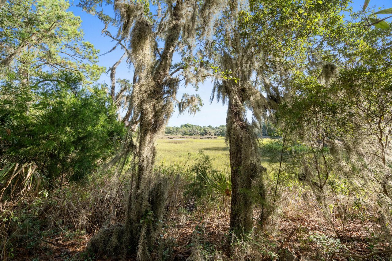 45 Dr. Martin Luther King Jr. Drive Photo 10