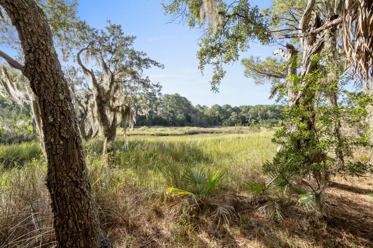 45 Dr. Martin Luther King Jr. Drive Photo 12