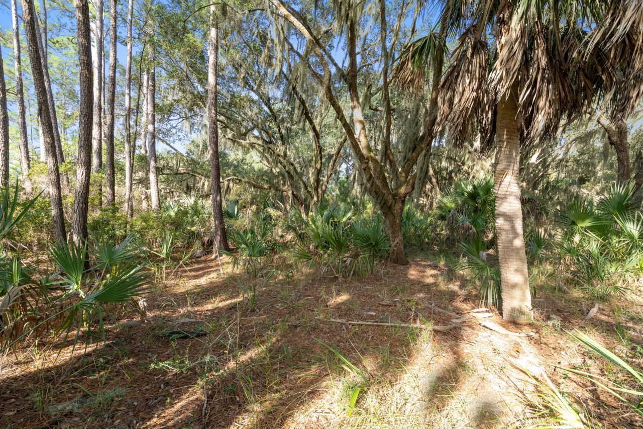 45 Dr. Martin Luther King Jr. Drive Photo 13