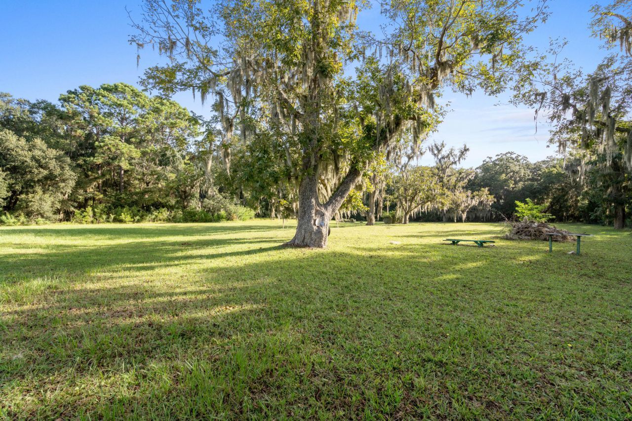 45 Dr. Martin Luther King Jr. Drive Photo 8