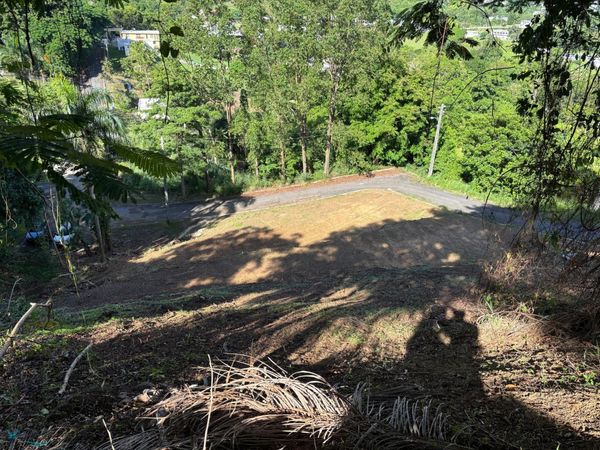 n/a CAMINO LOS RUIZ, Unit n/a, Trujillo Alto, PR 00976