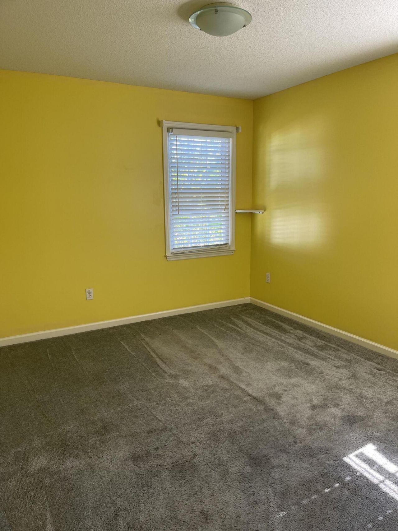 135 Mount Gilead Drive Photo 18