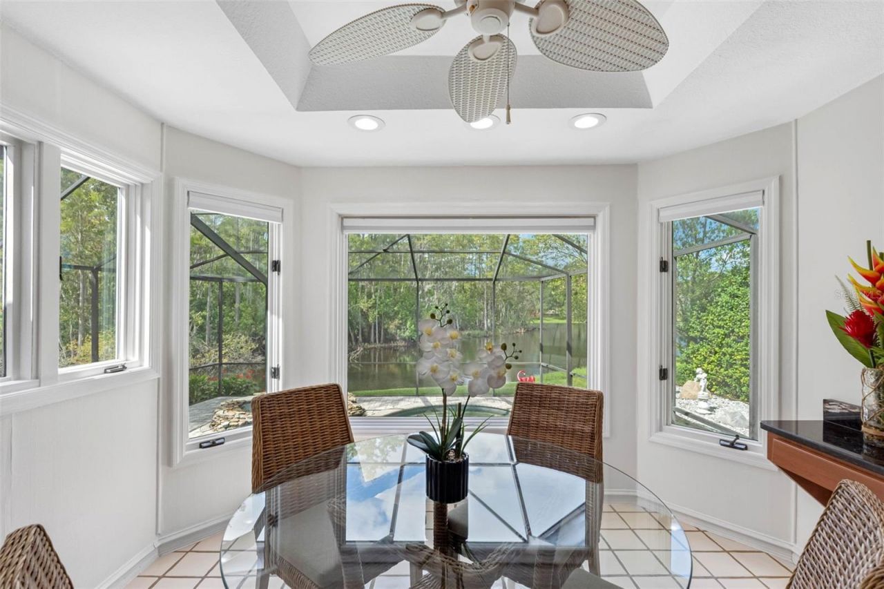 3126 Harvest Moon Drive, Palm Harbor, FL 34683 Photo