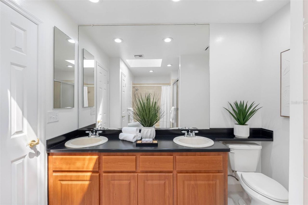 3126 Harvest Moon Drive, Palm Harbor, FL 34683 Photo