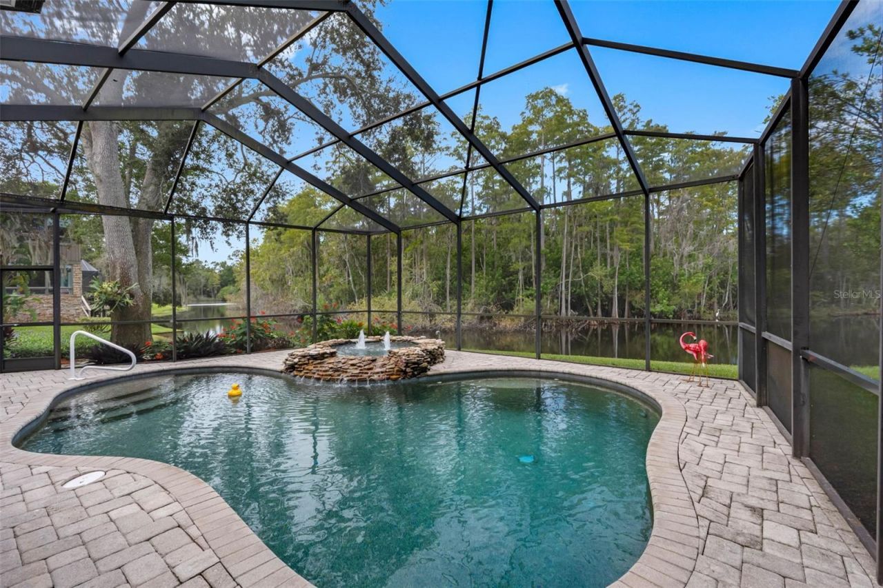 3126 Harvest Moon Drive, Palm Harbor, FL 34683 Photo