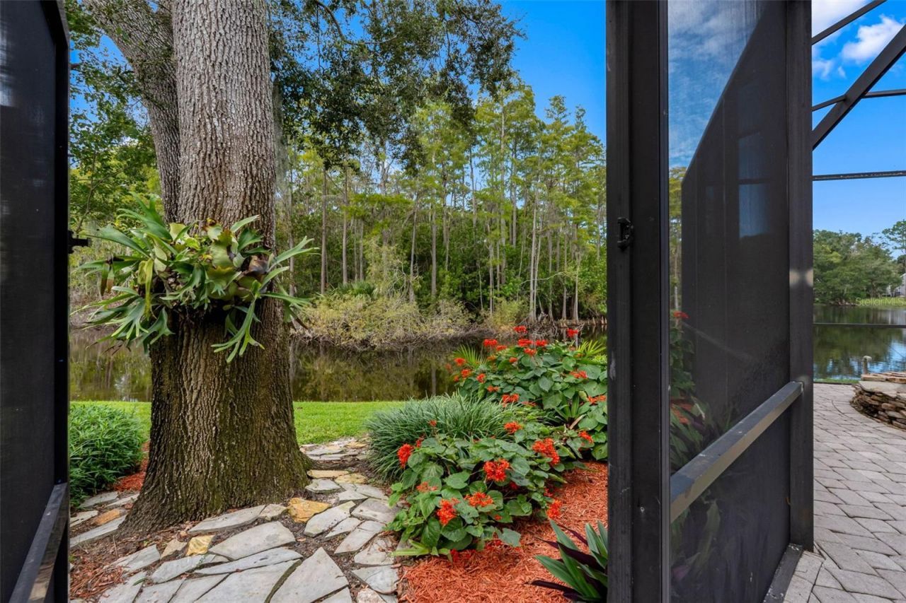 3126 Harvest Moon Drive, Palm Harbor, FL 34683 Photo