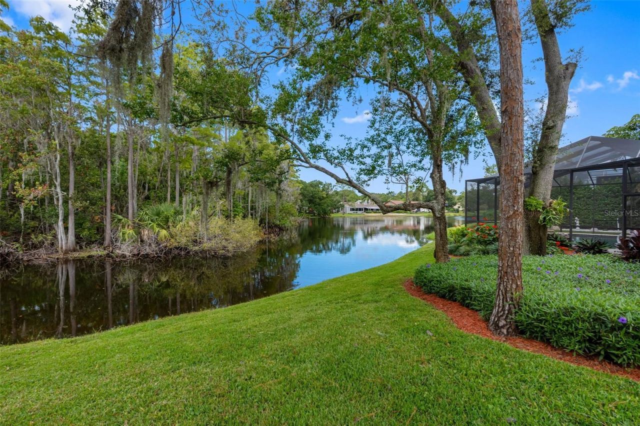 3126 Harvest Moon Drive, Palm Harbor, FL 34683 Photo