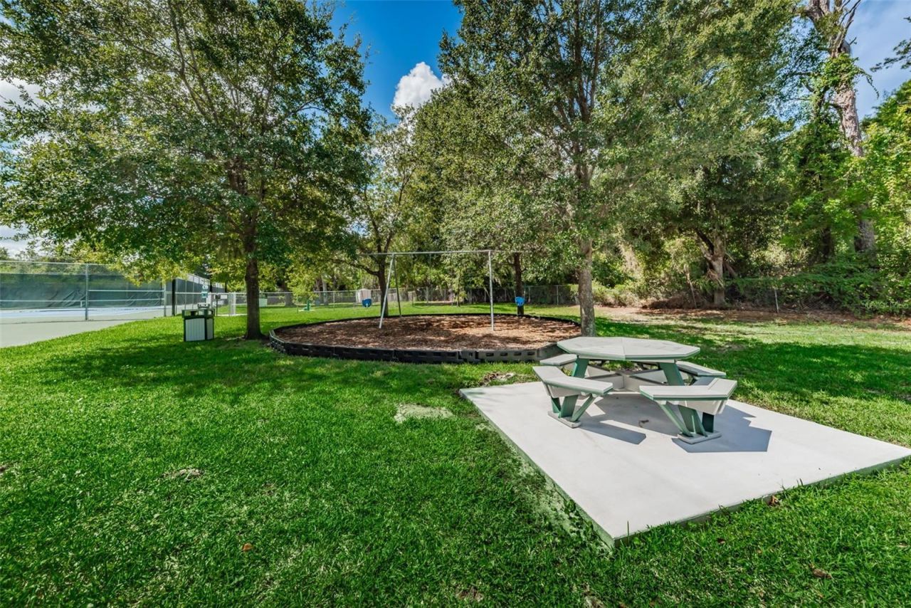 3126 Harvest Moon Drive, Palm Harbor, FL 34683 Photo