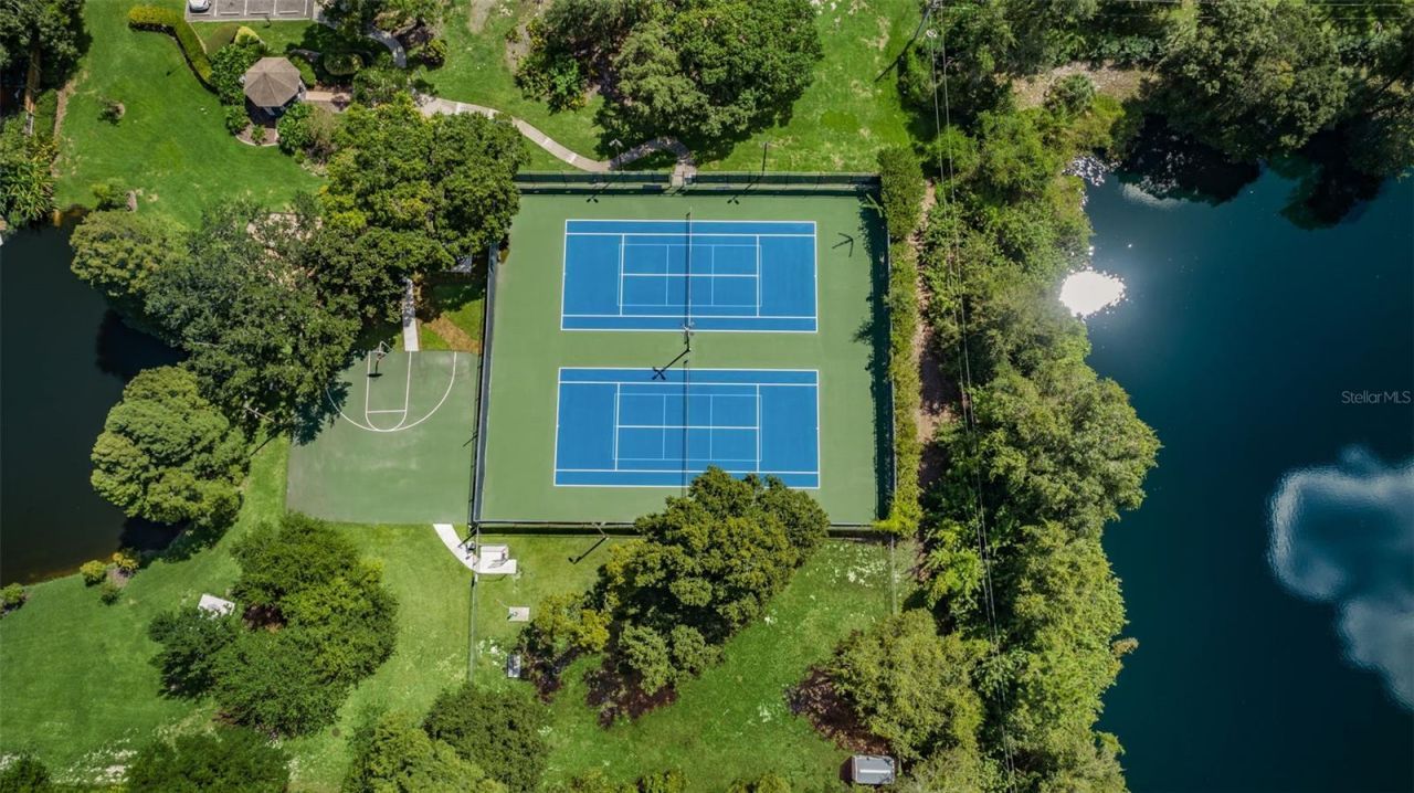 3126 Harvest Moon Drive, Palm Harbor, FL 34683 Photo