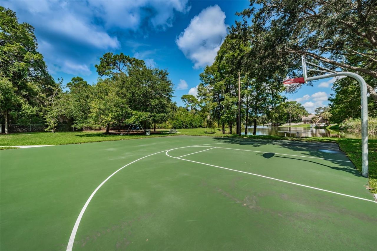 3126 Harvest Moon Drive, Palm Harbor, FL 34683 Photo