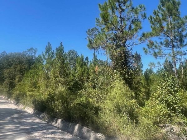 TBD SE CROFT ST, LuLu, FL 32061