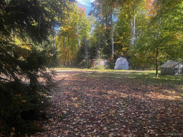 E 4104 Storm Road, Limestone Twp, MI 49816