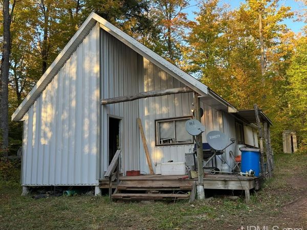 Off Forest Rd 250 Road, Bergland Twp, MI 49910