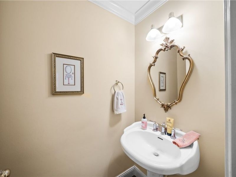 24 Morning Song Lane, Hudson, OH 44236 Photo 18