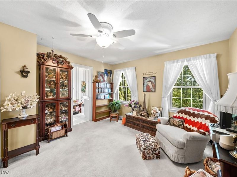 24 Morning Song Lane, Hudson, OH 44236 Photo 24