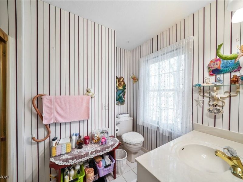 24 Morning Song Lane, Hudson, OH 44236 Photo 26