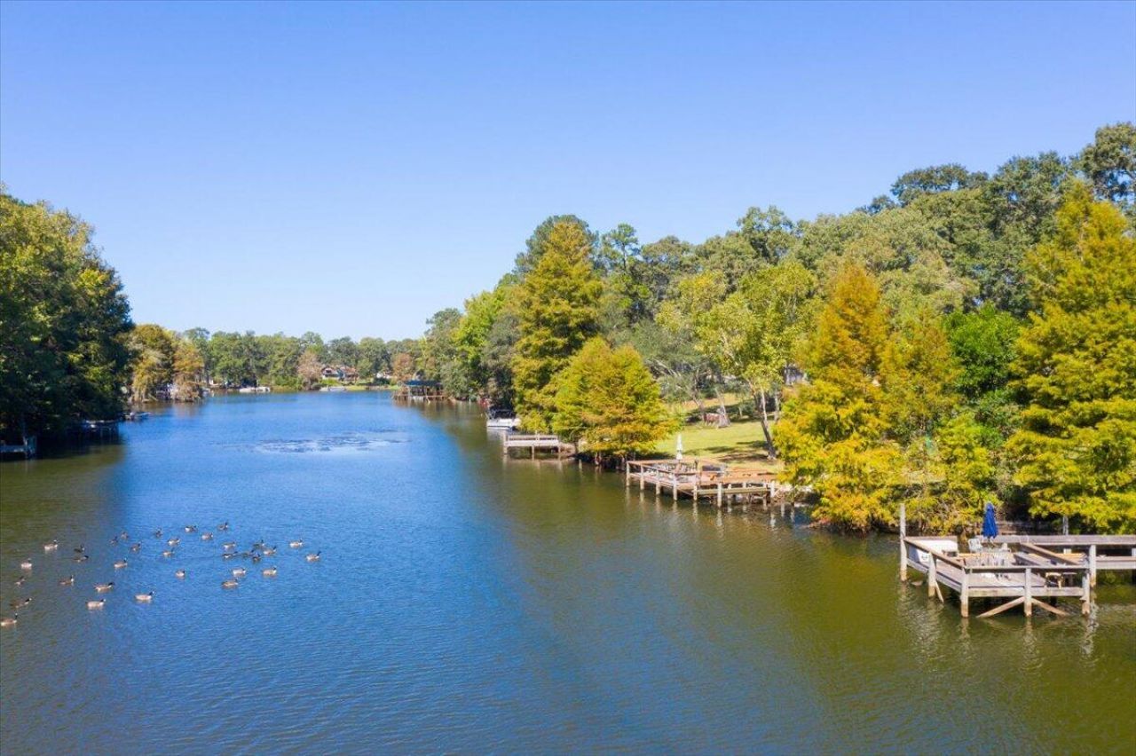 1132 Saint Julien Drive Photo 10