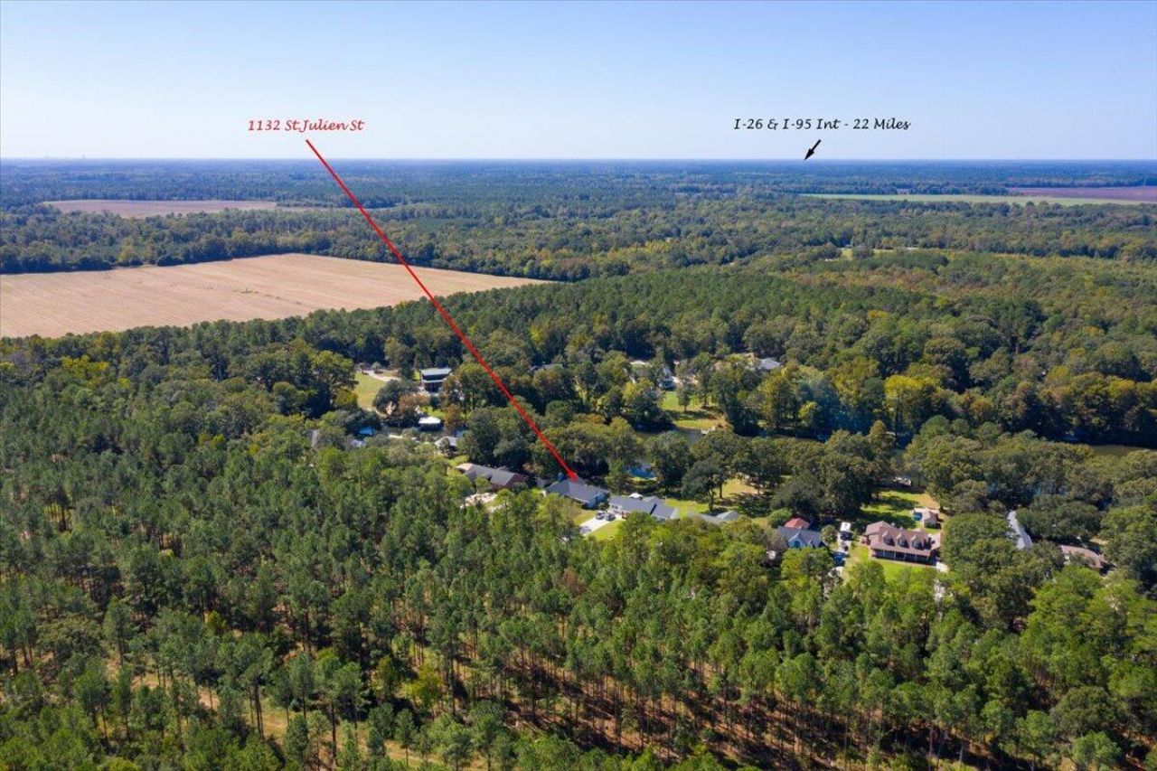 1132 Saint Julien Drive Photo 54