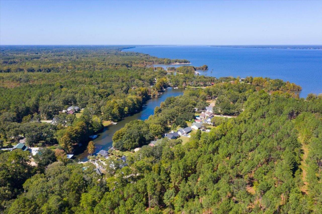 1132 Saint Julien Drive Photo 55