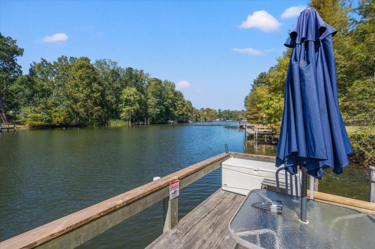 1132 Saint Julien Drive Photo 8