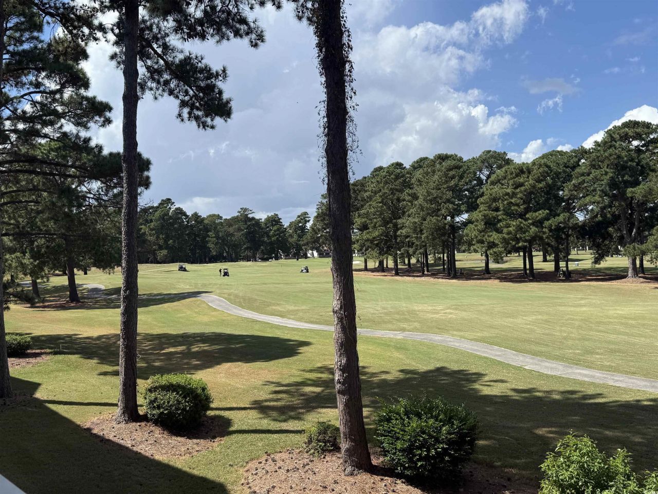 4647 Wild Iris Dr. Photo 24