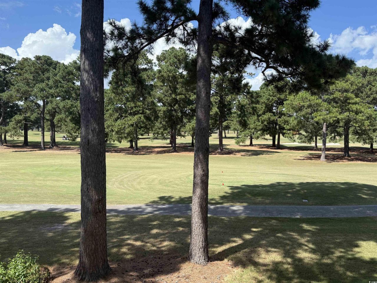 4647 Wild Iris Dr. Photo 26