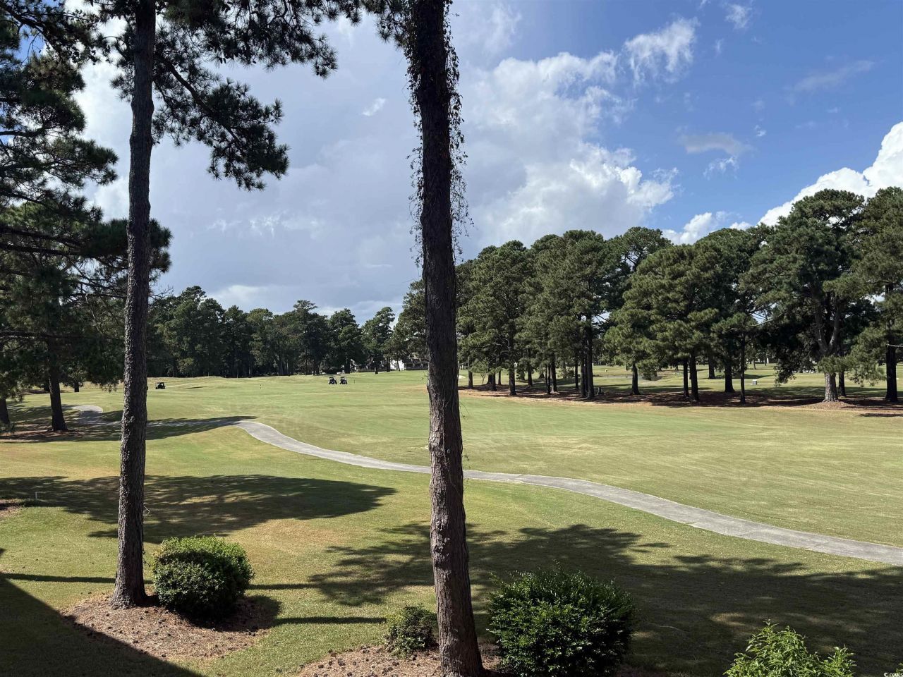 4647 Wild Iris Dr. Photo 27