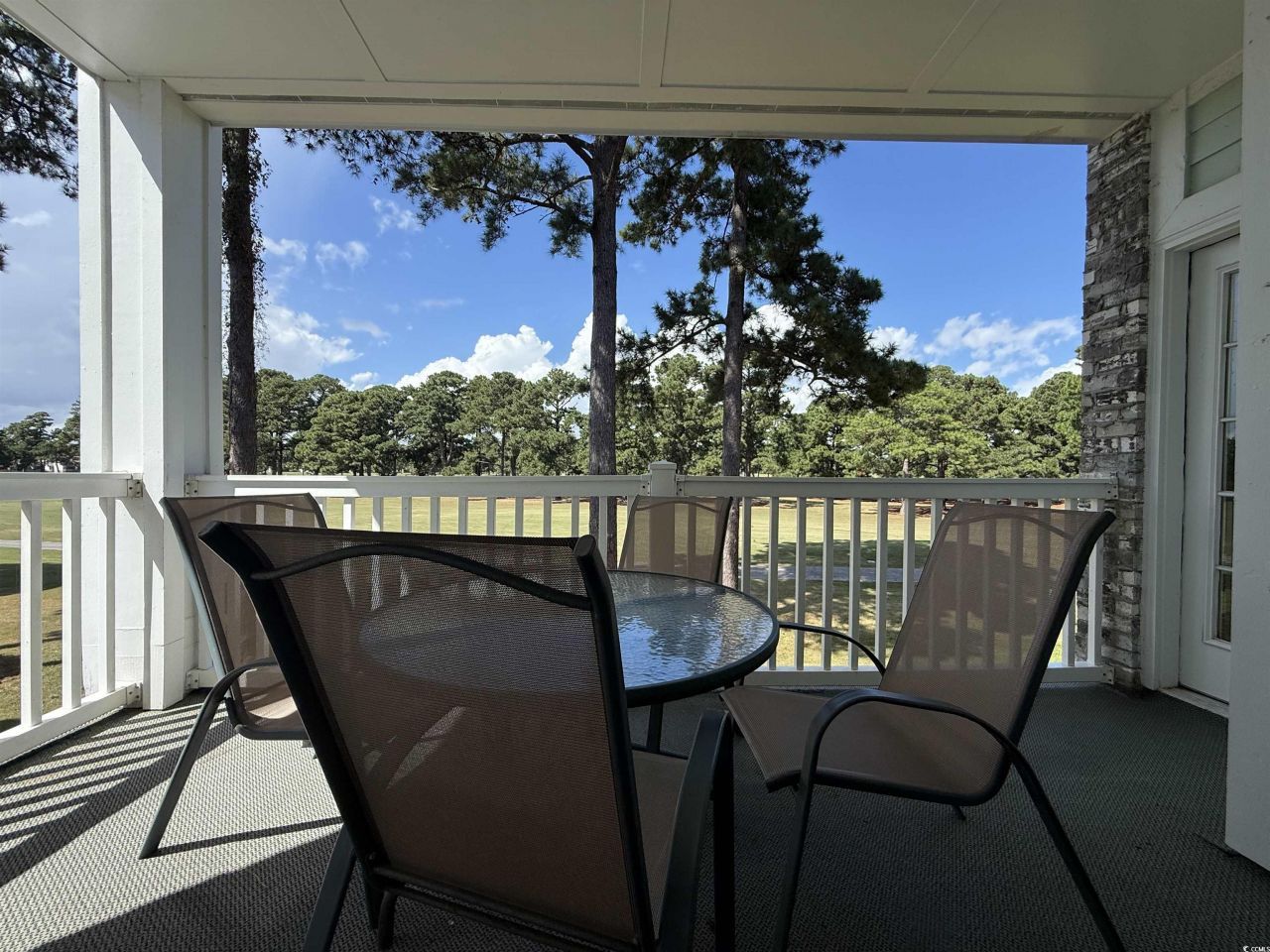 4647 Wild Iris Dr. Photo 29