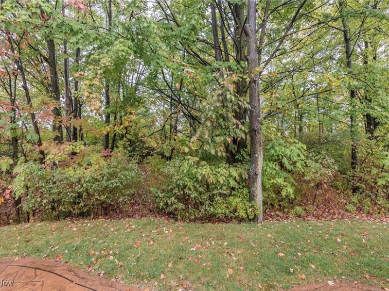 5277 Spruce Pointe Lane, Brunswick, OH 44212 Photo 35