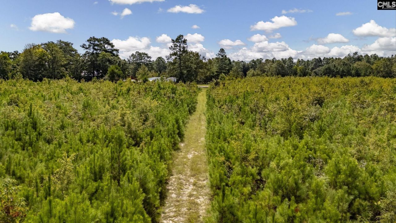 0 Prairie Court  Photo 10