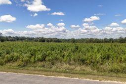 0 Prairie Court  photo 4