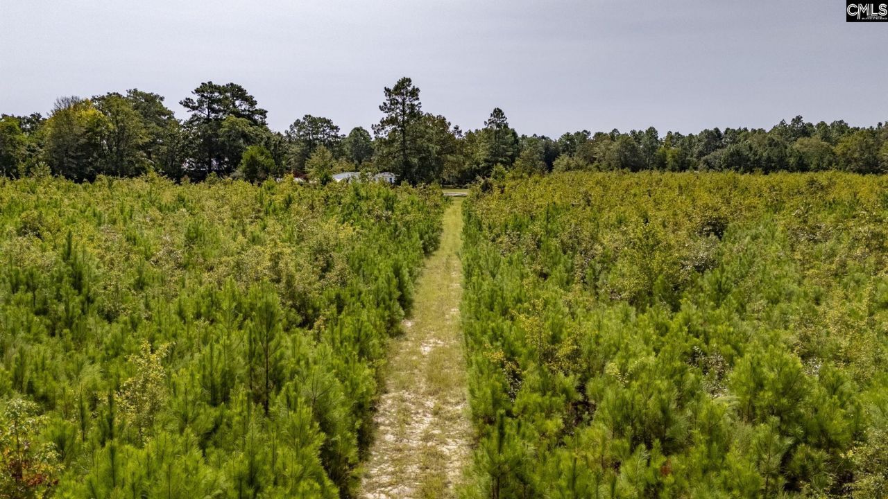 0 Prairie Court  Photo 9