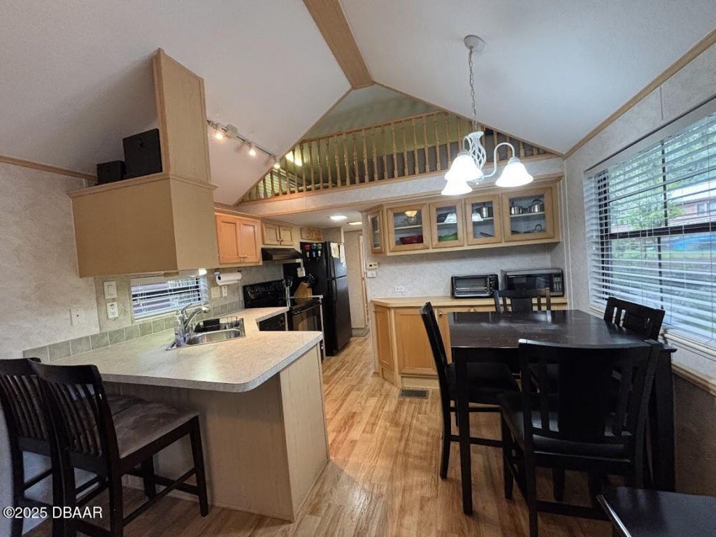 25246 NE 143rd ( Lot 181 ) Street, Salt Springs, FL 32134 Photo