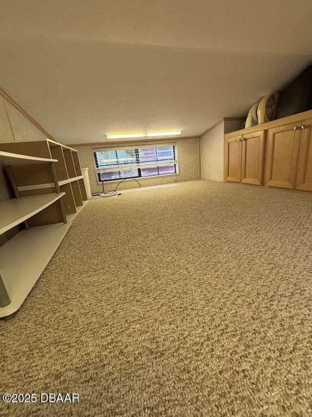 25246 NE 143rd ( Lot 181 ) Street, Salt Springs, FL 32134 Photo