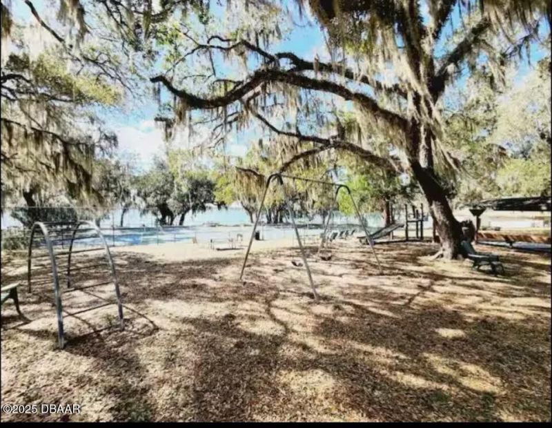 25246 NE 143rd ( Lot 181 ) Street, Salt Springs, FL 32134 Photo