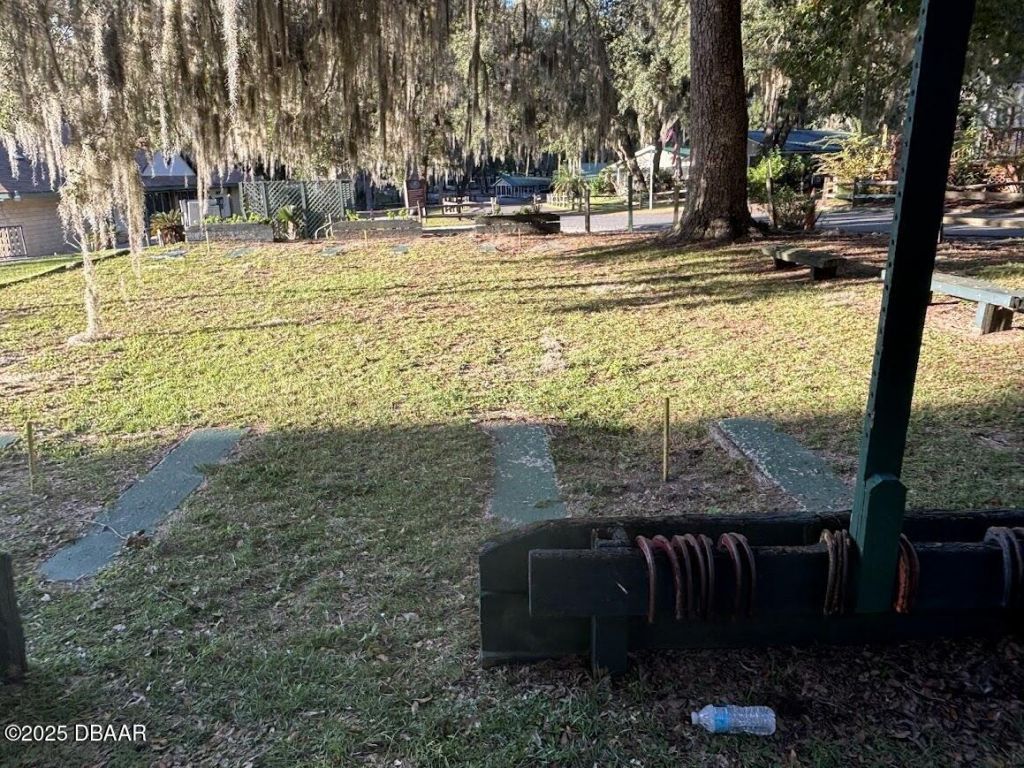 25246 NE 143rd ( Lot 181 ) Street, Salt Springs, FL 32134 Photo