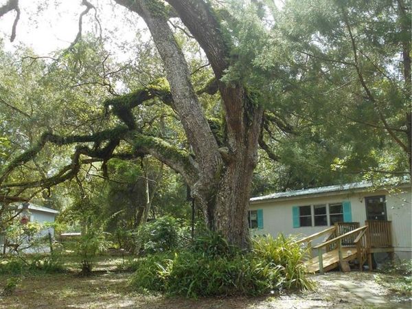 20425 NE 143RD STREET, SALT SPRINGS, FL 32134