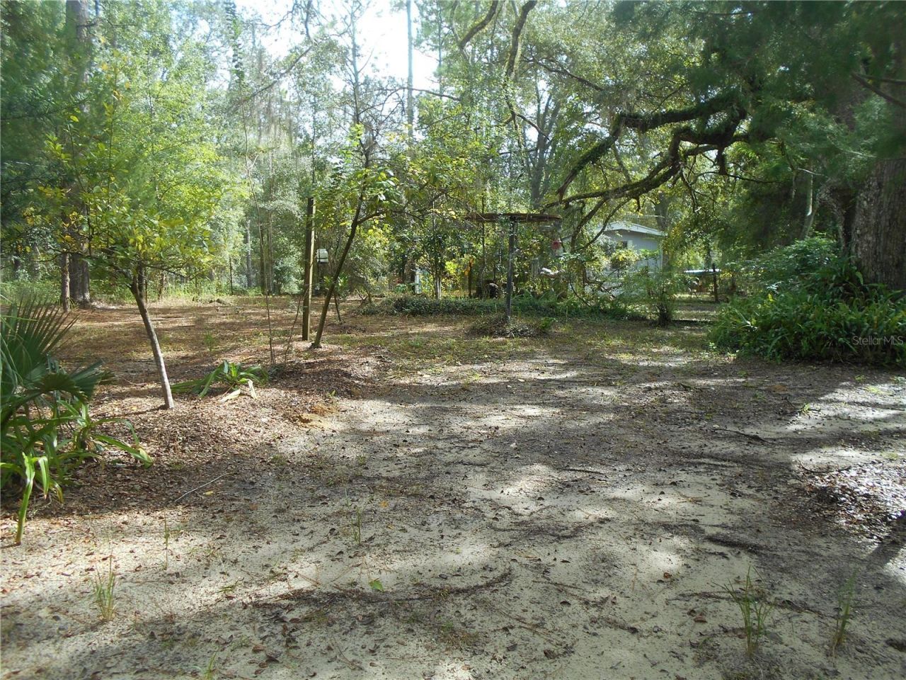 20425 NE 143rd Street, Salt Springs, FL 32134 Photo