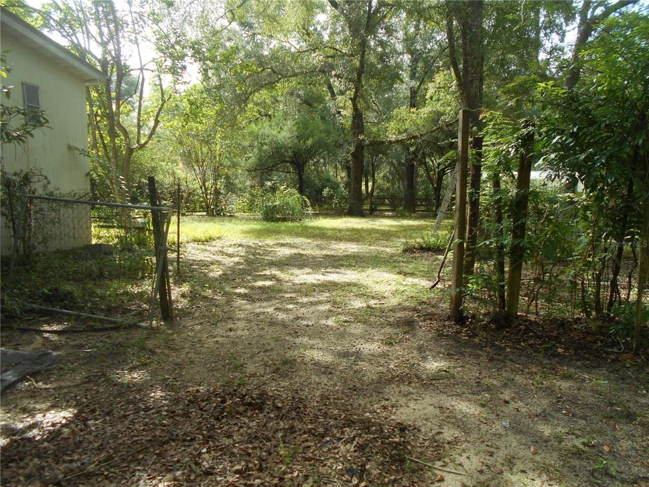 20425 NE 143rd Street, Salt Springs, FL 32134 Photo