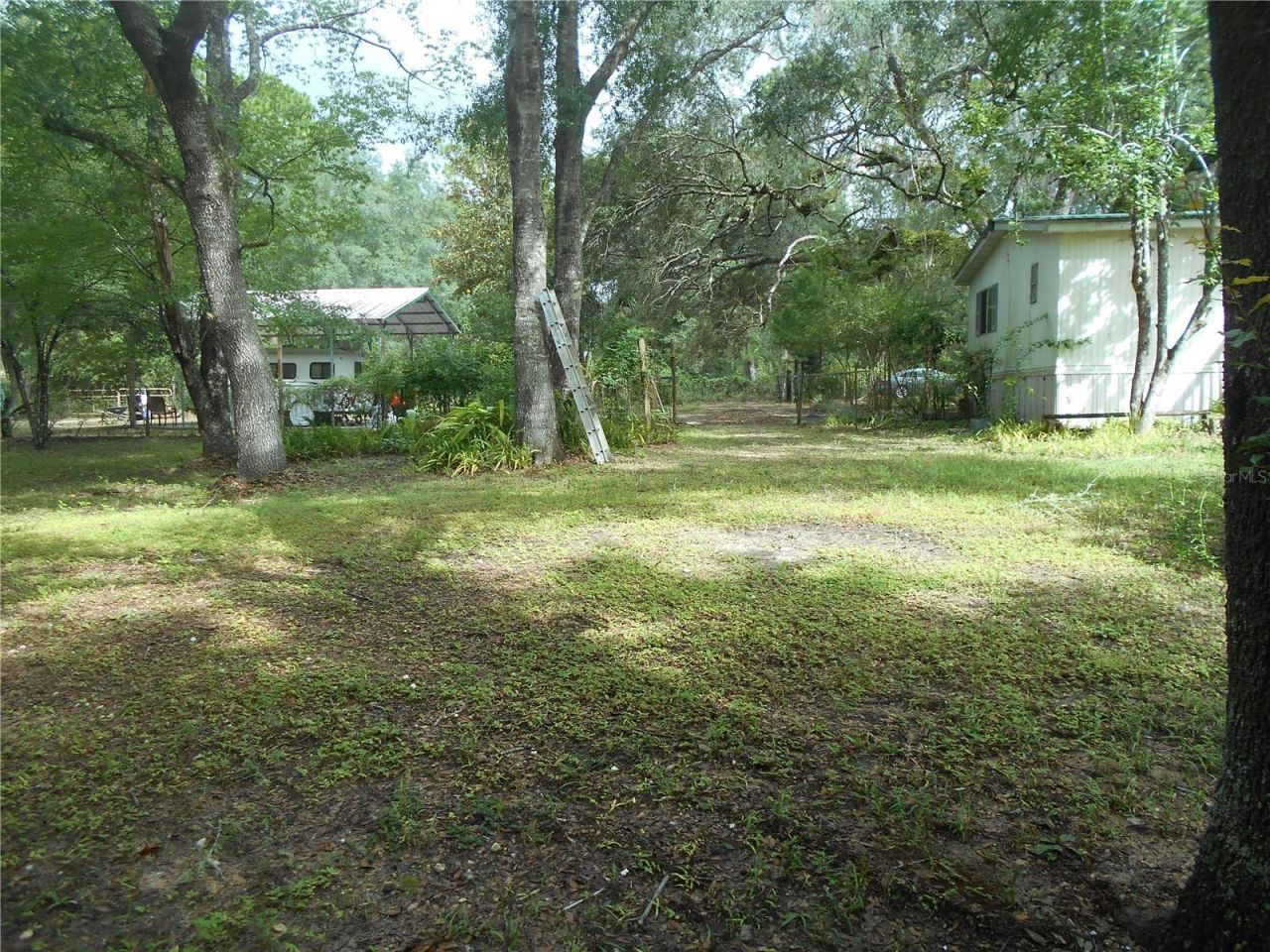 20425 NE 143rd Street, Salt Springs, FL 32134 Photo
